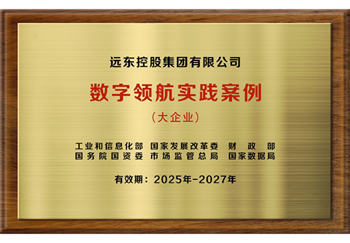 Practical cases of digital leadership in Large enterprises